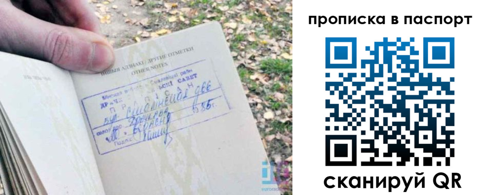 временная регистрация собственник в Белгороде